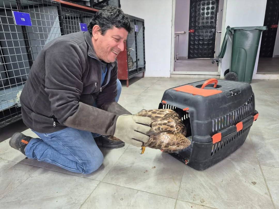 Germencik Belediyesinden Yaban Hayatı İçin Duyarlılık Çağrısı